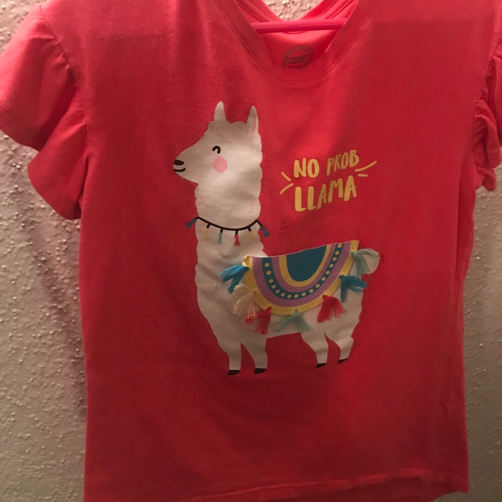 Pink Llama Shirt. Size 6X.